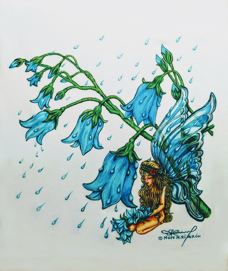 Fairy Beneath Bluebells in the Rain - Art